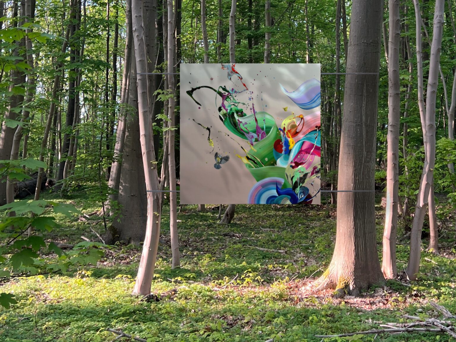 Hiding-in-Nature-4-3-1536x1152